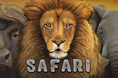 Safari