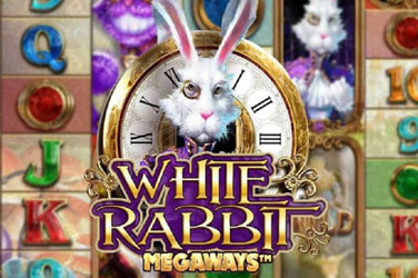 white-rabbit