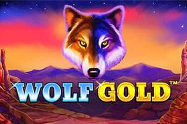 wolf-gold-1